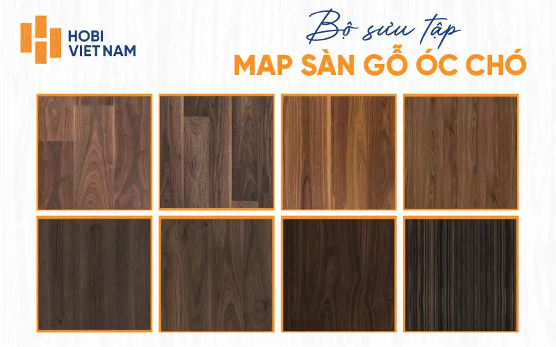 Map sàn gỗ óc chó