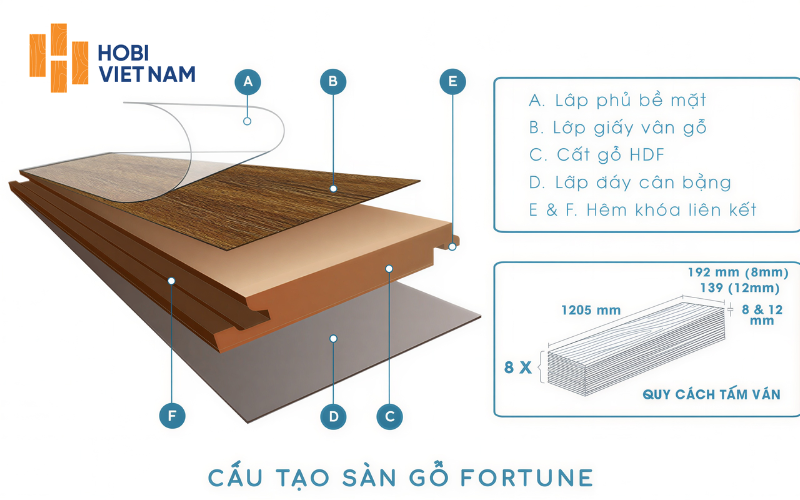 Cấu tạo và thông số kỹ thuật của sàn gỗ Fortune