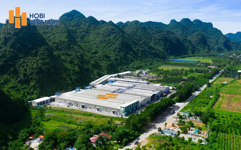 Nhà máy sản xuất sàn gỗ Wilson của Hobi Việt Nam