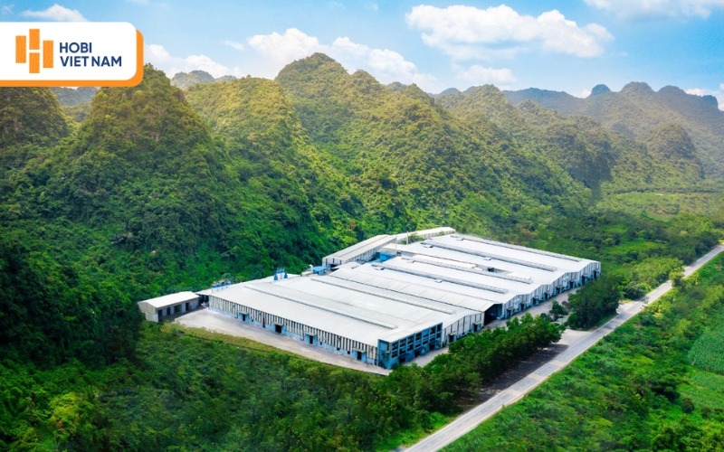 Nhà máy Hobi Việt Nam sản xuất và phân phối sàn nhựa hèm khoá uy tín, chất lượng