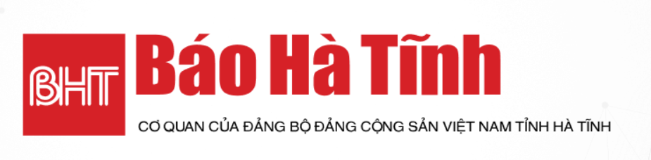 Gỗ nhựa ngoài trời Hobi Việt Nam: Giải pháp bền bỉ cho công trình ngoại thất