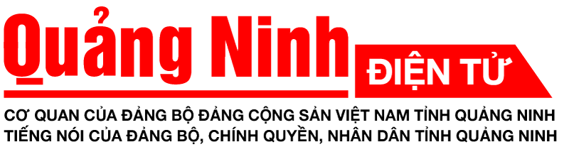 Top 5 loại sàn gỗ công nghiệp được ưa chuộng nhất 2026