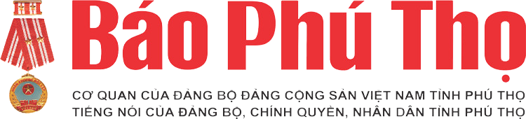 Top 3 loại sàn gỗ công nghiệp đẹp, tốt, dễ thi công nhất