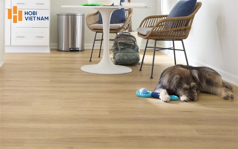 Hobi Việt Nam mang đến những sản phẩm sàn gỗ chất lượng