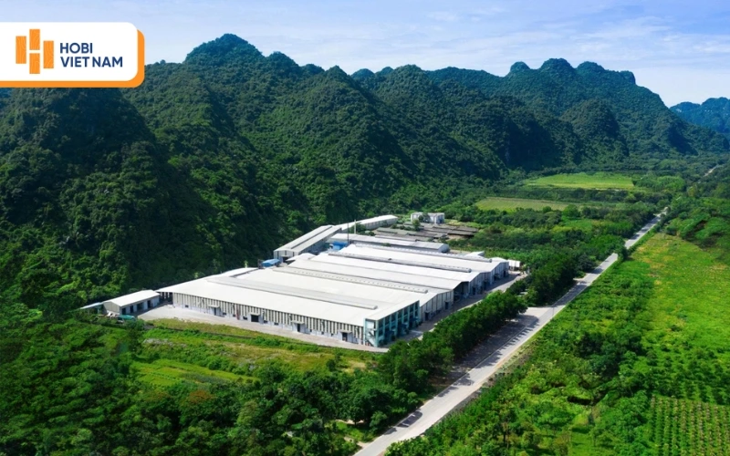 Hobi Việt Nam cung cấp sàn nhựa chịu lực Glotex uy tín, chất lượng