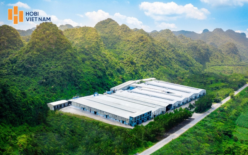 Hobi Việt Nam đơn vị sản xuất và phân phối sàn SPC hàng đầu