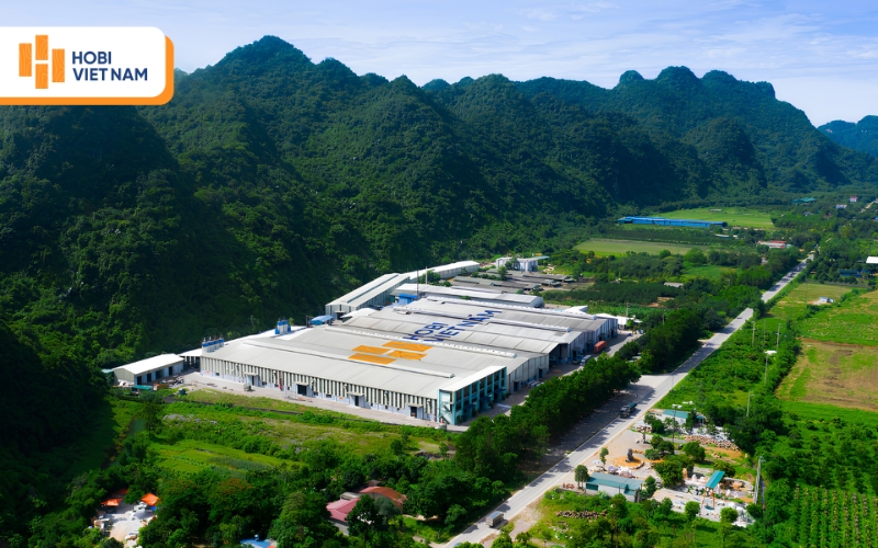 Hobi Việt Nam - Đơn vị sản xuất, phân phối sàn gỗ chất lượng hàng đầu Việt Nam