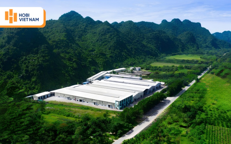 Hobi Việt Nam - Đơn vị sản xuất, phân phối tấm ốp HobiWood uy tín, chất lượng