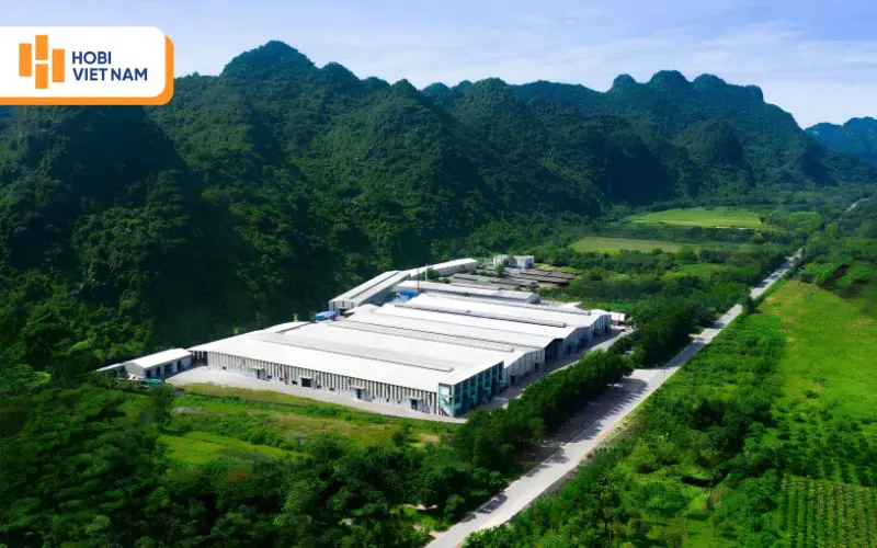 Hobi Việt Nam - Đơn vị sản xuất, phân phối tấm ốp HobiWood uy tín, chất lượng