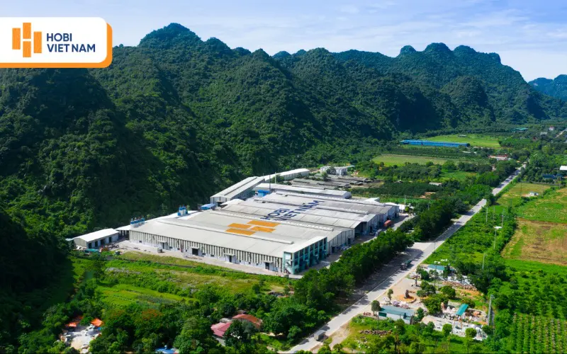 Nhà máy sản xuất Hobi Việt Nam