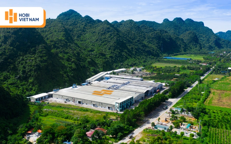 Nhà máy sản xuất Hobi Việt Nam 